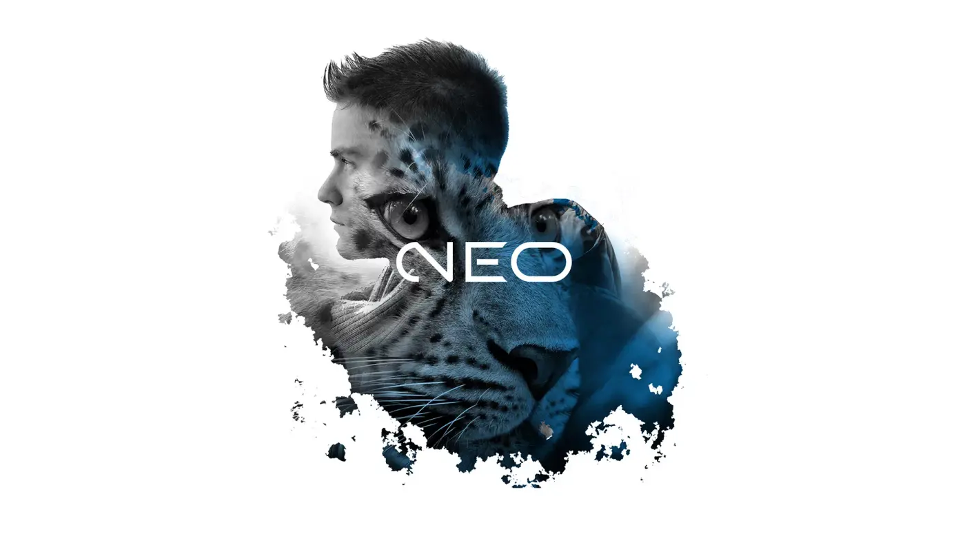Criação de logotipo, identidade visual e criação de site para 2 Neo Tecnologia: imagem 8